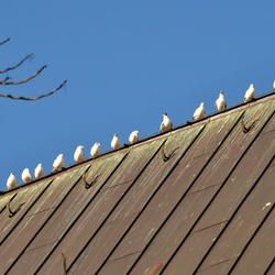 2026-01-08 Brandenburg an der Havel/Stadt/DSC_2337.JPG